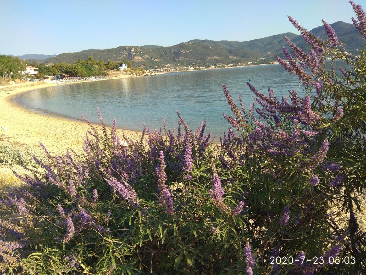 Villa Alexandra Nea Iraklitsa Εξωτερικό φωτογραφία