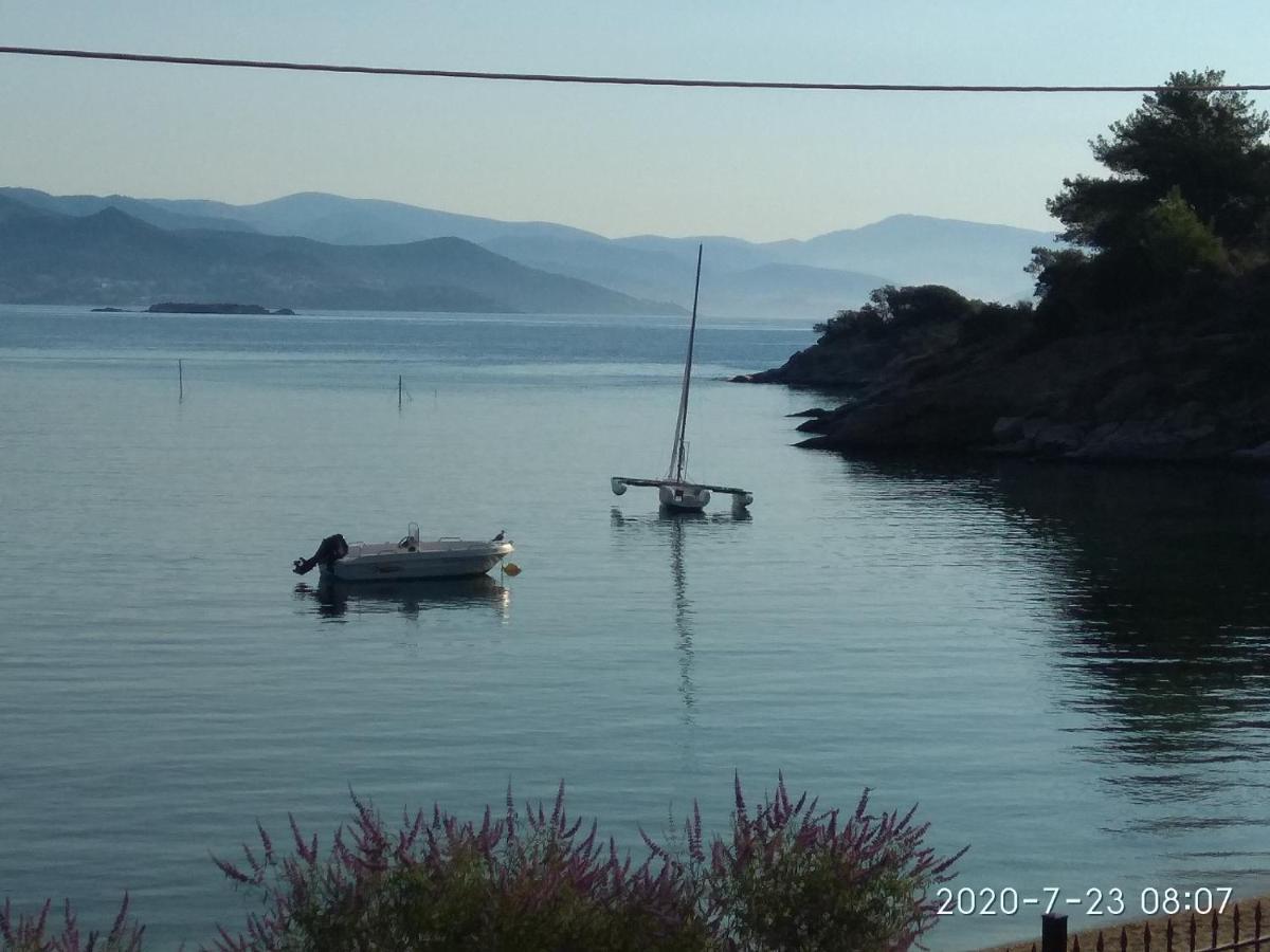Villa Alexandra Nea Iraklitsa Εξωτερικό φωτογραφία