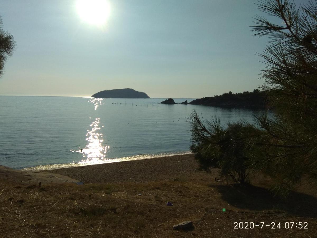 Villa Alexandra Nea Iraklitsa Εξωτερικό φωτογραφία